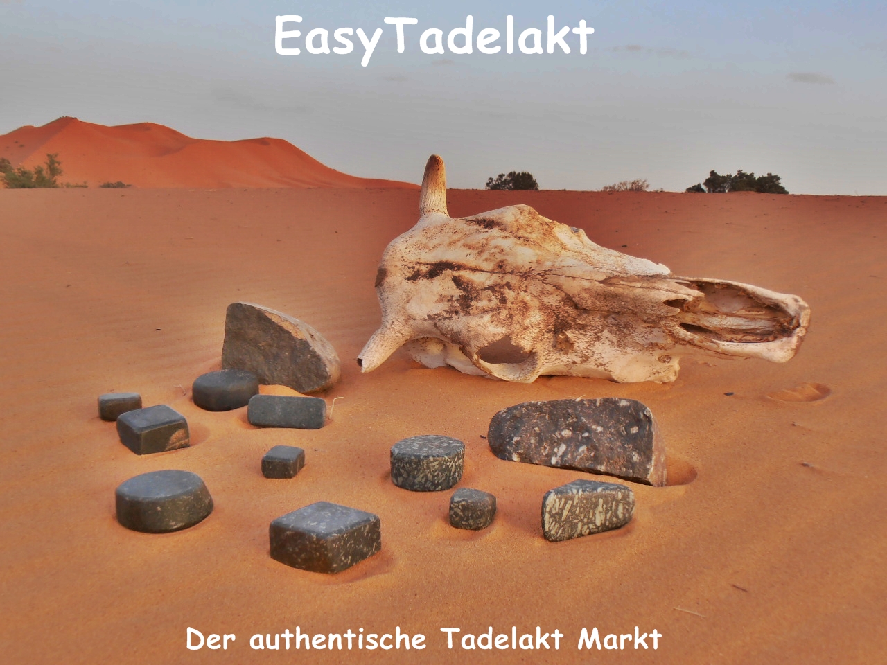 Originales Zubehör für den traditionellen Tadelakt von EasyTadelakt der Erste und Grösste authentische Tadelakt Markt online